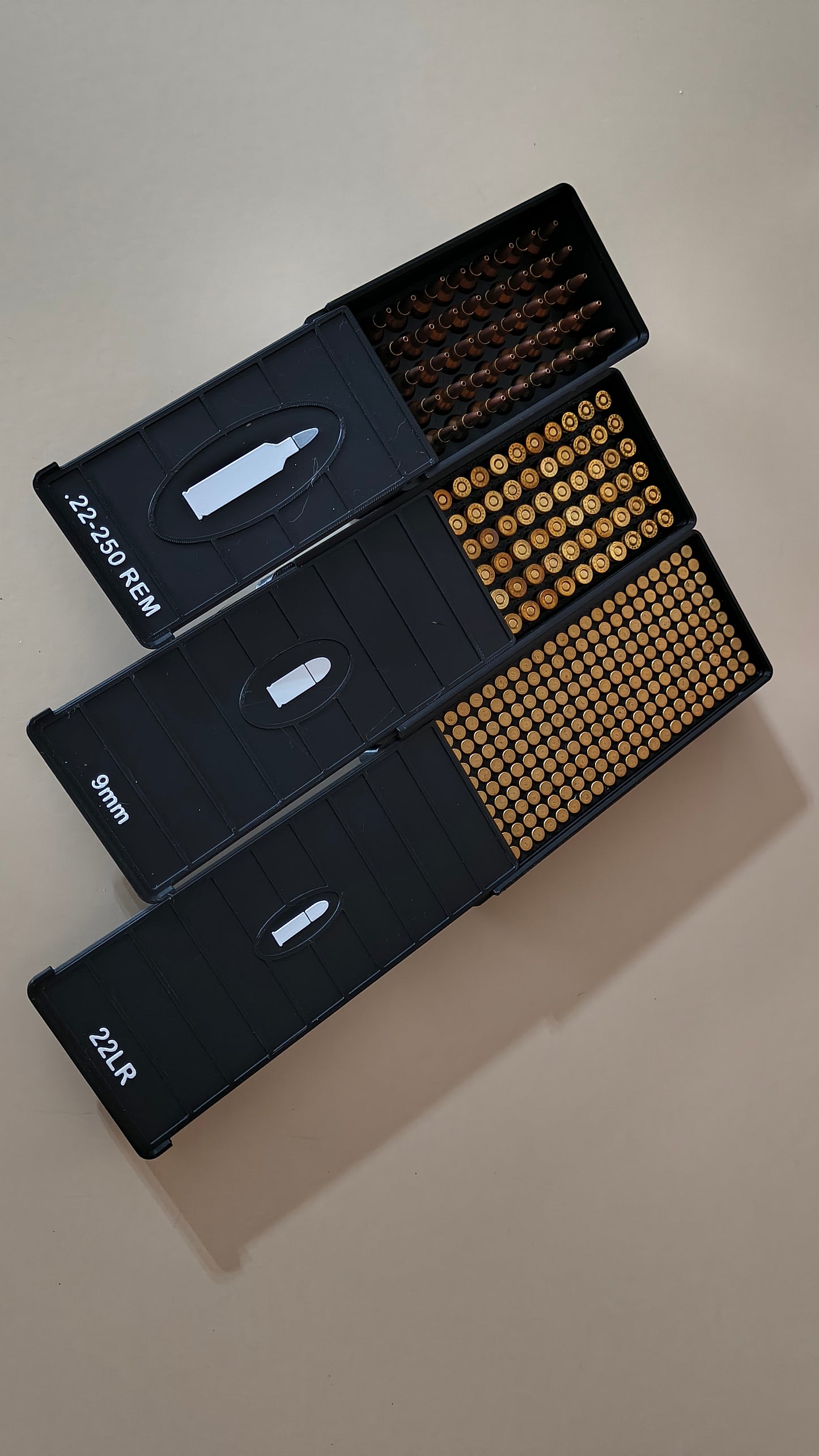 Ammo Storage Box .22 WMR / .22 Magnum 250 Rounds (3 Pack)